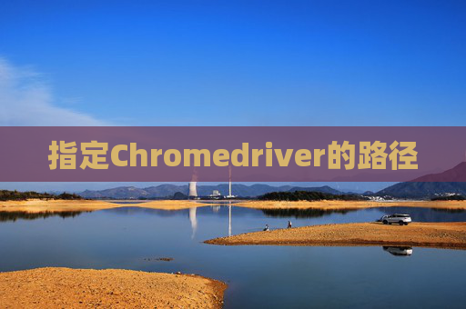 指定Chromedriver的路径