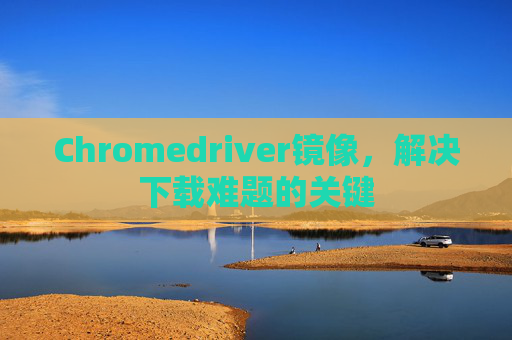 Chromedriver镜像，解决下载难题的关键