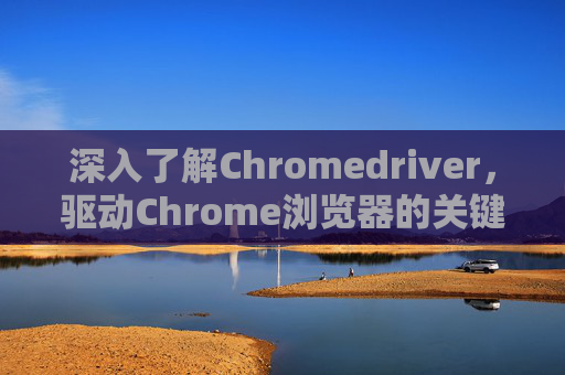 深入了解Chromedriver,驱动Chrome浏览器的关键工具 深入了解Chromedriver,驱动Chrome浏览器的关键工具